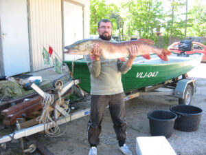 Koit Kalmus Kukka lahest püütud hiidhaugiga. Väikesel pildil Eesti vetes haruldane heloon.
