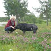 Siga Kalanas koos perenaise Kristaga.