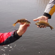 “Miks meie kohta püügikeeldu ei kehti?”