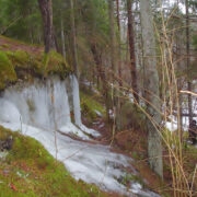 Vahtrepa jääjuga sel kevadel.