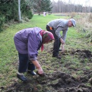 Anna Tihhanovskaja õuemuru, mis pealtnäha paistab laitmatult sile, on mitmeid kordi sigade poolt üles tuhnitud ning siis perenaise poolt jälle tasaseks silutud.