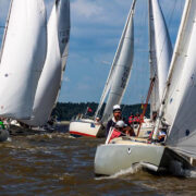 Gamajoni haihambad lainet hammustamas.