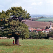 Aedpihlakas Radejovi kohal.