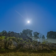 Leppekivid Otimäel.