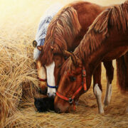 Siret Põllu 2015. a õlimaal kolme hobuse ja kassiga.