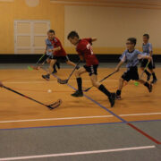 HC Panter ja Viskoosa SK omavahelises mängus on rünnakul “pantrid”, kes liiga liidrina näitasid oma jõulist üleolekut.