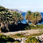 Itanose rand. Nende kreeta datlipalmide all oli kellegi täielik vabaõhu suveelamine.