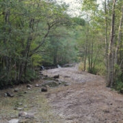 Jõeranna oja suue on taas vaba kaladele, kes jõkke kudema tulevad ja talveks merre tagasi pöörduvad.