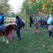 Ponid ja varsad tekitasid lasteaialaste seas suurt elevust.