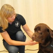 Teraapiakoer Cooper ja koerajuht Anneli Ilumets.