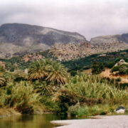 Kreeta datlipalmid. Souda. Finikase oja suue.