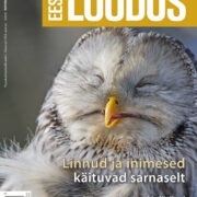 Eesti Looduse novembrinumber on mõned päevad veel müügil.