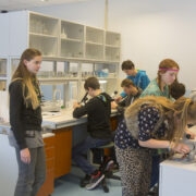 Õpilased ametis looduskeskuse laboratooriumis.