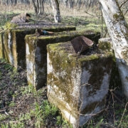 Kivipurustaja alus Tahkunas militaarmuuseumi juures metsas.