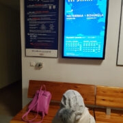 Heltermaa sadamahoonesse seatud TS Laevad tahvel ja tabloo annavad vajalikku infot, muuhulgas näitab see, kui palju on aega järgmise laeva väljumiseni.