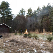 Heakorratööd Padriku poe juures juba käivad.