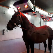 Quansar solaariumis.