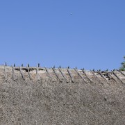 Nii auklik oli Saarnaki rehemaja katus mullu augustis.