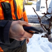 Õunapuuokste kärpimisel on väga tähtis, kui kaugelt lõige teha.