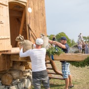 Esimesed viljakotid tõstsid veskisse hiidlastest veskimeistrid Viktor Tammsaar (seljaga) ja Olari Aassalu.