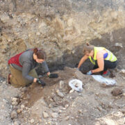 Arheoloogid inimluid kokku kogumas.