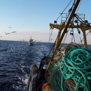 Meremehe igapäevased kaaslased: meri, kajakad, sõsarlaev ja võrgud.