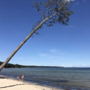 Hiiumaa Tõrvanina randa on oma kaldus männi ja valge liiva tõttu võrreldud mõnelgi pool veebis Fidži saarega.