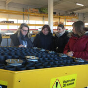 Risutec OY metsaistutusmasinat uurivad arenduskeskuse töötajad Anne-Ly Torstensson, Silva Jõema, Mari-Liis Hirv ja Merlin Lige.