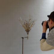 Florist Markus Oeselg jäädvustab valminud tööd ametikooli fotostuudios.