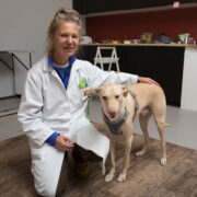 Helsingi ülikooli teadlane Anna Hielm-Björkman ja Kössi, kes õppis koroonaviirust tuvastama vaid seitsme minutiga.