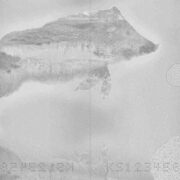 Uue passi üks lehekülgi, millel kujutatud põgenevat metssiga ja tema meeliselukeskkonda.