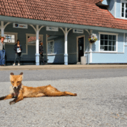 Esimese koha pälvinud Aivar Soku foto “Kärdla bussijaamas”.