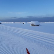 Spordikooli direktor Elo Saue ja lumised suusarajad kutsuvad talve nautima seni, kui meil seda on.