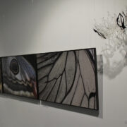 Liblikate tiivamustrid Fred Jüssi fotodel ja Kalli Seina klaasehted toovad esile elu hapruse.