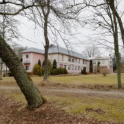 Peagi hakkavad Emmaste kooli ümbritsevas pargis tööle saed – vanad puud on juba ohtlikud ja tuleb asendada uutega.