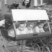 Hiiumaa kolmikud koos emaga.