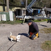 Mõnda asja tuli töömeestele ka lähemalt selgitada.