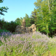 Lavendlimägi Nõmbal.