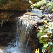 Üks Turjekeldri ülemistest joakestest.