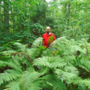 Loo autor vägevate laanesõnajalgade seas.