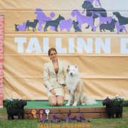 Jaku ja Mia-Mari Auser sel sügisel Tallinna koertenäitusel, kus toodi kaasa mitu auhinnamedalit ja juunioride tšempionitiitel.