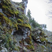 See rahn meenutab väga ühe looma pead...