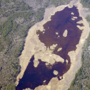 Tihu järv maaameti aerofotol.