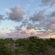 Päikesetõus Kalanas