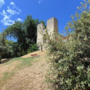 Renessansspaleevaremed õlipuulike iilekstammedega.